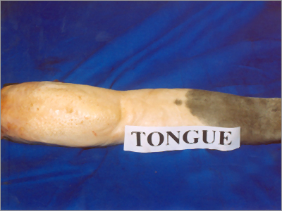 Buffalo Tongue
