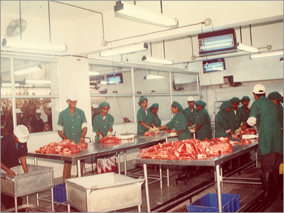 Frozen Meat