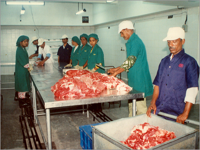 Frozen Buffalo Meat