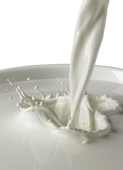 Milk Powder