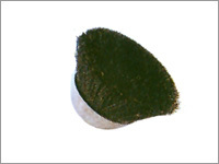 Cup Shaped Wire Brush