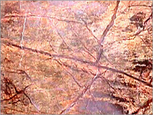 Bidasar Brown Marble
