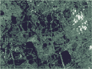 Medium Green Marble