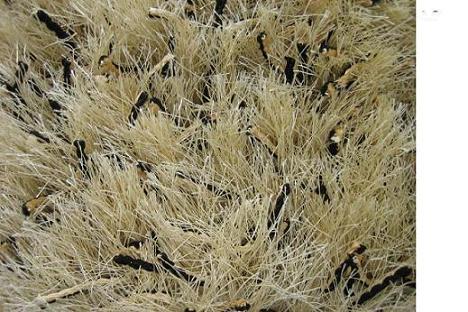 Polyester Thick Shaggy Rugs