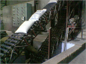 Chain Conveyor