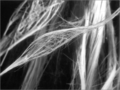 Rose Quartz Fibers