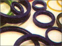 Hydraulic Seal Kits