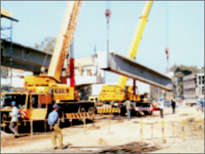 Earth Moving Cranes Hiring Service