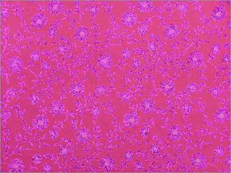 Gift Wrapping Paper