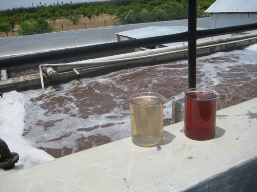 Textile Dyeing Effluent Decolorisation