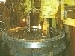 Cast Steel Spoked Gear
