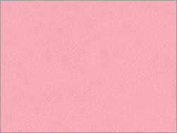 Leather for cars/two wheelers