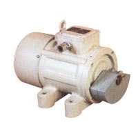 VIBRATORY MOTOR
