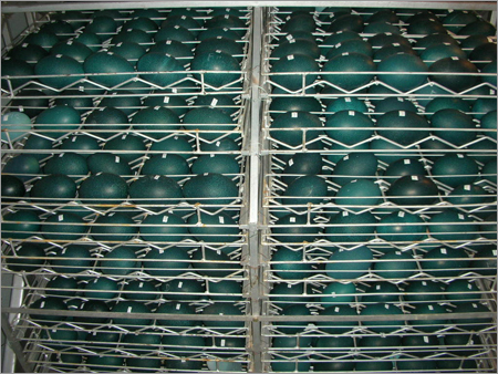 Emu Eggs