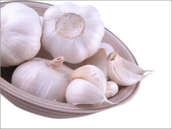 Garlic