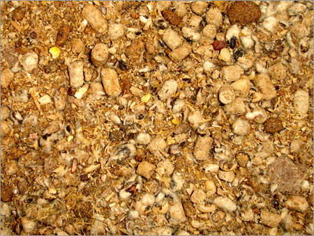 CATTLE FEED