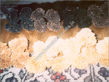 Human Hair Extension