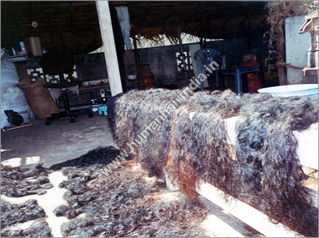 Human Hair