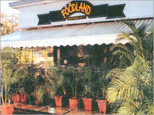 Solar Proof Awning