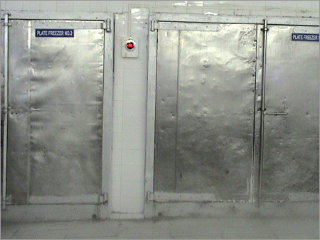 Freezer Room