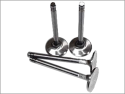 Intake Valve Manufacturer