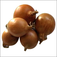 Red and Yellow Onion