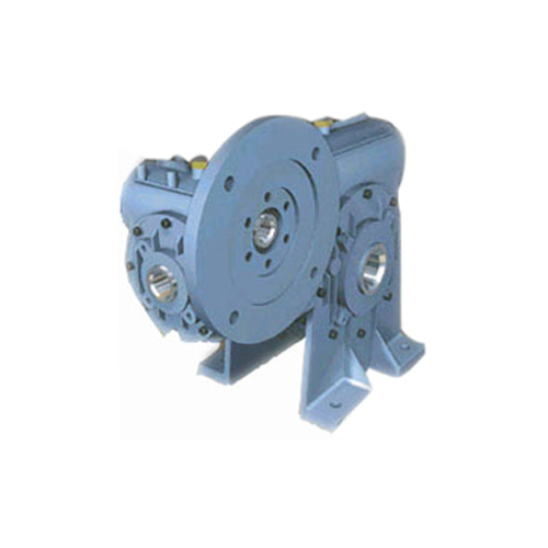 Double Worm Gearbox