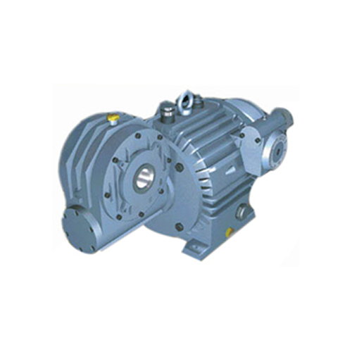 Variable Worm Geared Motor