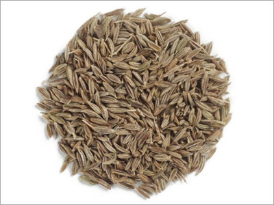 Cumin Seed