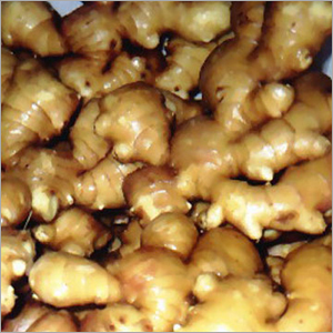 Ginger