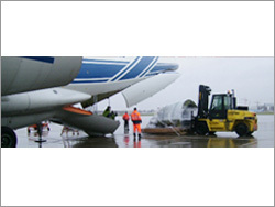 Freight Forwarders & Brokers