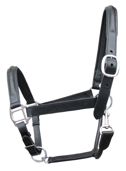 Leather Halter