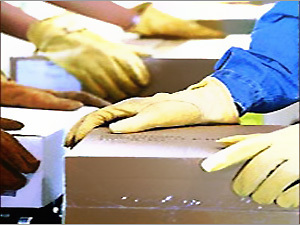 Customs Clearance Services