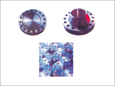Forged Flanges