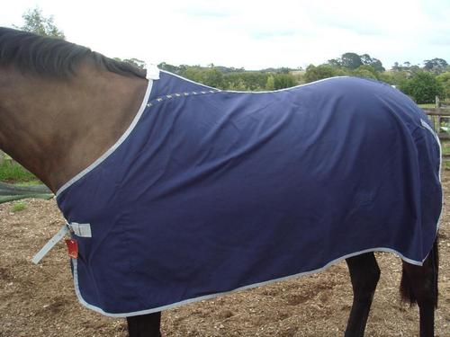 Show Dress rug