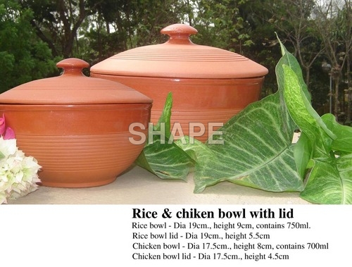 Terracotta Rice and Chicken Bowls