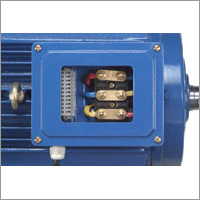 Inverter Duty Motors