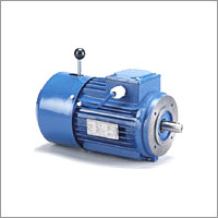 Dual Voltage Motor