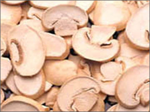 Mushroom Slices