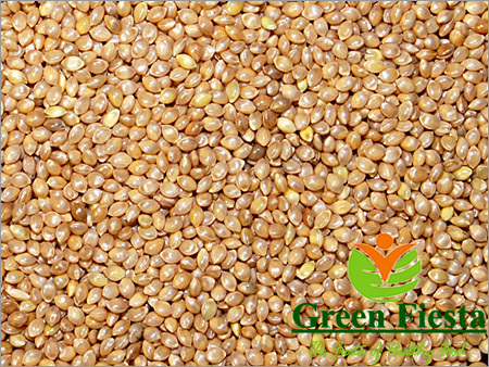 Barnyard Millet Grain