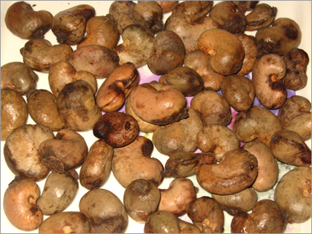 Raw Cashew Nuts in Shell