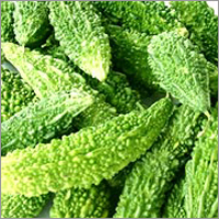 Bitter Gourd
