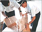 CHA Services