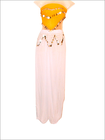 Belly Dance Skirt
