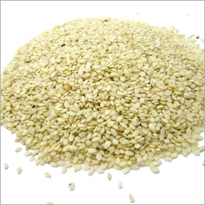 Sesame Seeds Til