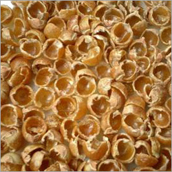 Soap Nut Seedless Ritha