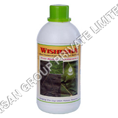 Wishesha