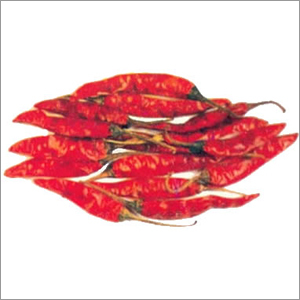 Red Chillies- Sattur Sannam