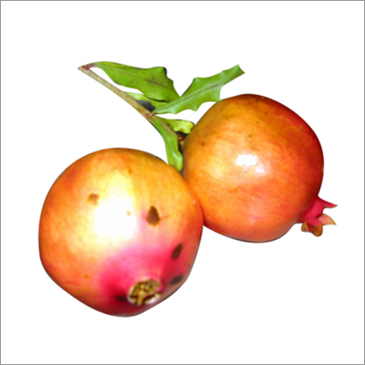 Pomegranates