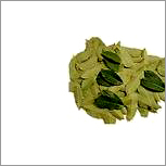 Banaba Leaf Extract (Legerstroemia Speciosa)